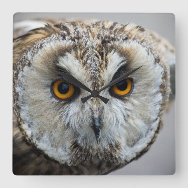 Relógio Quadrado Pulso de disparo da coruja (Frente)
