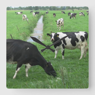 Relógio Quadrado Pulso de disparo da vaca