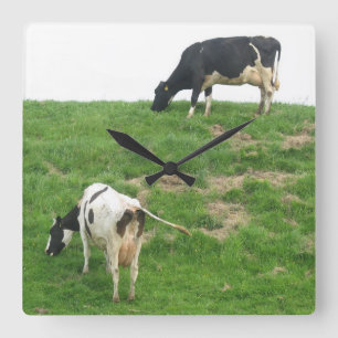 Relógio Quadrado Pulso de disparo das vacas
