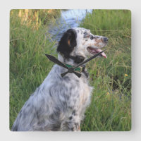 Pulso de disparo de parede com os cães da pena