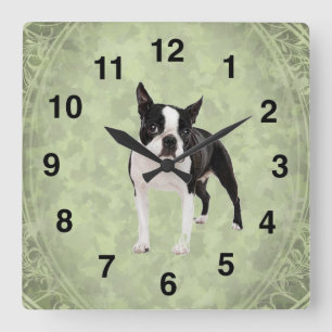 Relógio Quadrado Pulso de disparo de parede de Boston Terrier