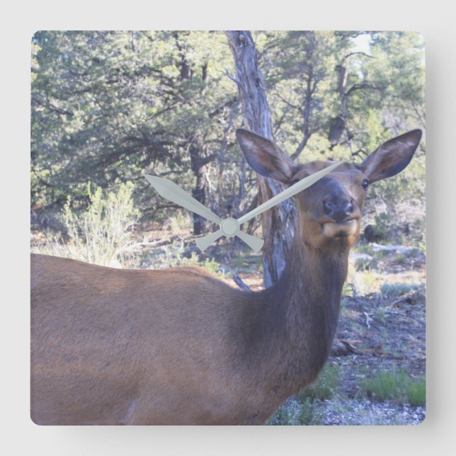 Relógio Quadrado Pulso de disparo dos alces (Frente)