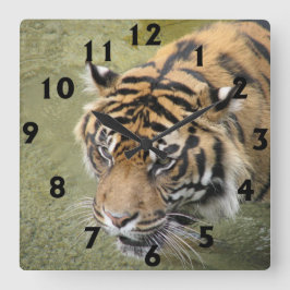 Relógio Quadrado Pulso de disparo quadrado do tigre