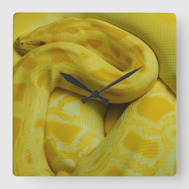 Relógio Quadrado Python Amarelo birmanês (Frente)