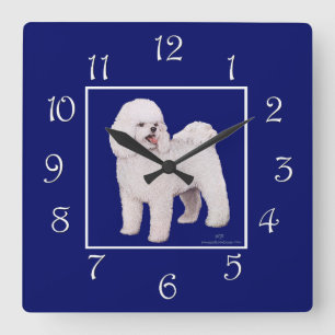 Relógio Quadrado Quadrado do marinho de Bichon Frise