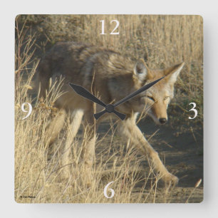 Relógio Quadrado R14 Coyote Caminhando