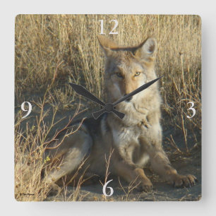 Relógio Quadrado R15 Coyote Deitado