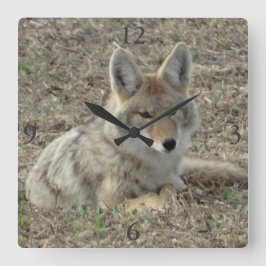 Relógio Quadrado R22 Coyote Lay