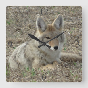 Relógio Quadrado R22 Coyote Lay