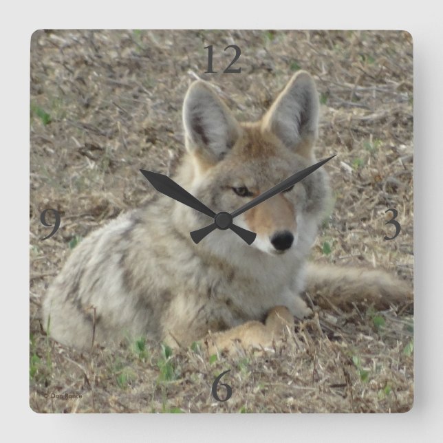 Relógio Quadrado R22 Coyote Lay (Frente)