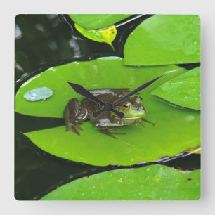 Relógio Quadrado Rã-gigante em Lilypads