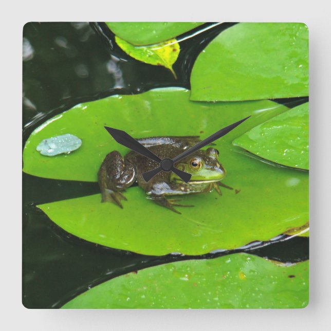 Relógio Quadrado Rã-grande em Lilypads (Frente)
