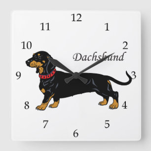 Relógio Quadrado Raça de Cão de Dachshund