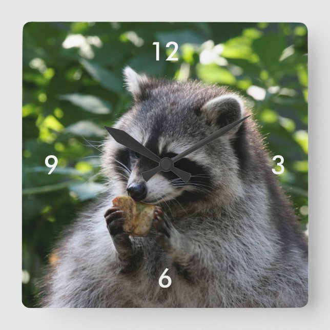 Relógio Quadrado Raccoon_2015_0116 (Frente)