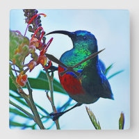 Raiva-beija-flor