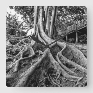 Relógio Quadrado Raízes maciças de seringueira