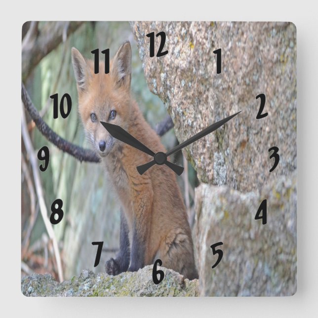 Relógio Quadrado Raposa de Bebê Azul (Frente)