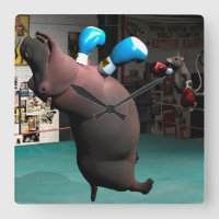 Rato bate Hippo KO
