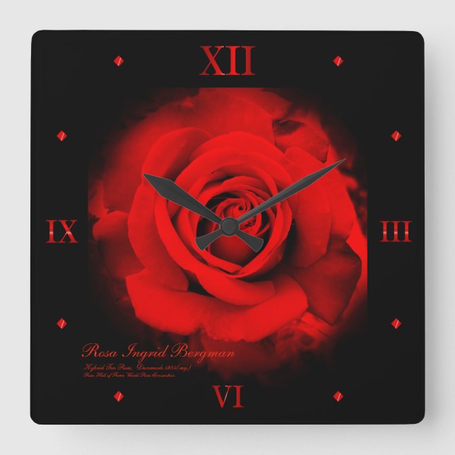 Relógio Quadrado Red Rose：Acrylic Wall Clock (Frente)