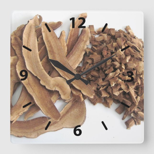 Relógio Quadrado Reishi Mushroom Wall Clock (Frente)
