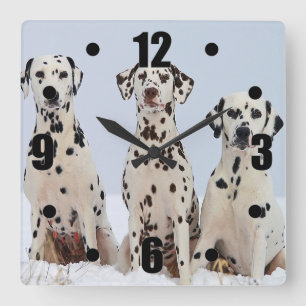 Relógio Quadrado Retrato Dalmatian da família