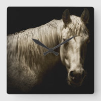 Retrato de Cavalo VI