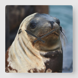 Relógio Quadrado Retrato do Leão do Mar