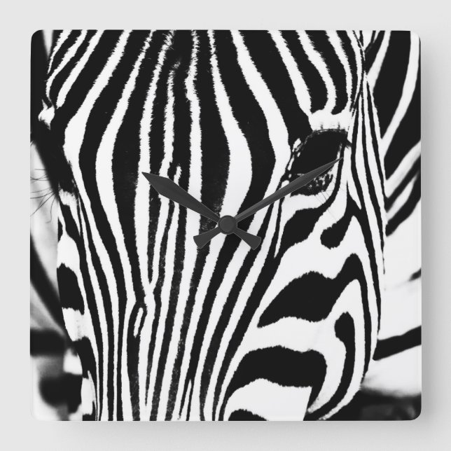 Relógio Quadrado Retrato zebra preto e branco (Frente)