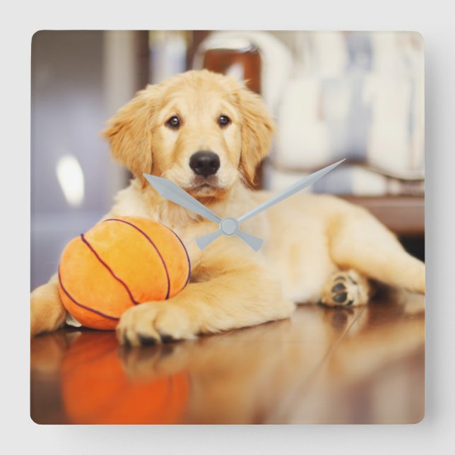 Relógio Quadrado Retriever ouro Com Brinquedo De Basquete (Frente)