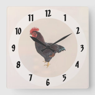 Relógio Quadrado Rhode Island Red Rooster