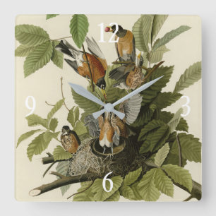 Relógio Quadrado Robin Americano das Aves da América de Audubon