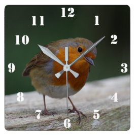 Relógio Quadrado Robin Clock
