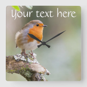 Relógio Quadrado Robin clock adicione seu próprio texto