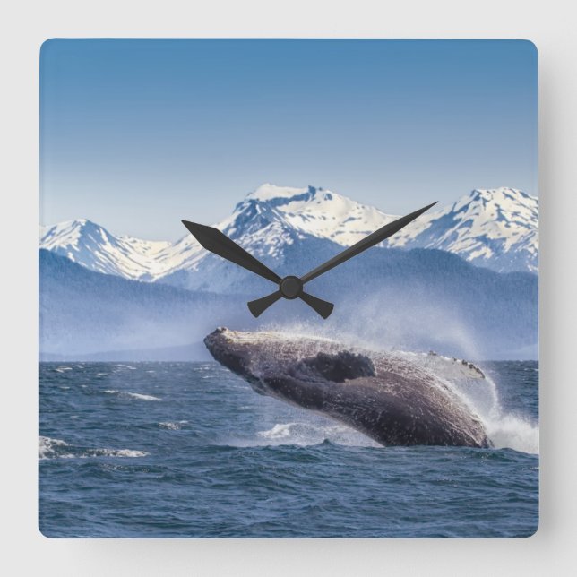 Relógio Quadrado Rompendo a baleia de Humpback em Alaska (Frente)