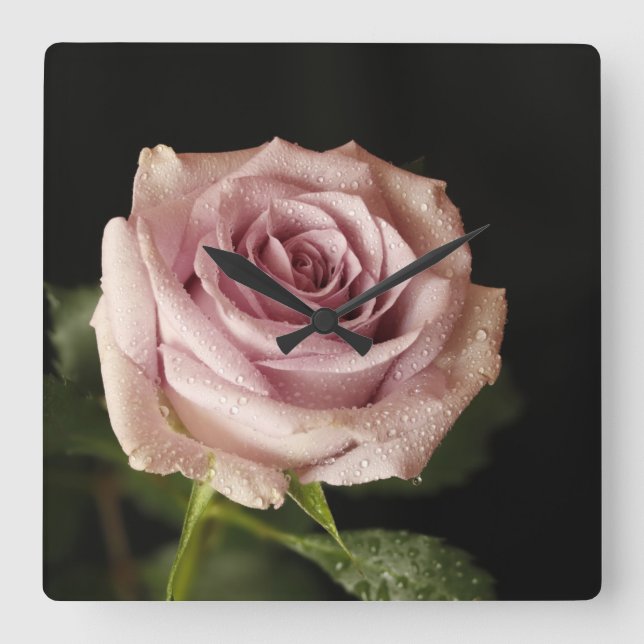 Relógio Quadrado rosa linda (Frente)
