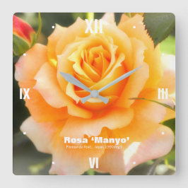 Relógio Quadrado Rosa ‘Manyo’：Acrylic Wall Clock