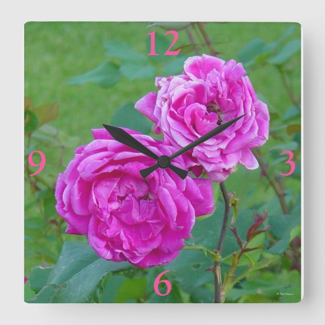 Relógio Quadrado Rosas de Jardim F20 (Frente)