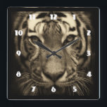 Relógio Quadrado Rosto Tigre Crescente em Pedaços Sepia<br><div class="desc">Uma bela imagem do rosto de um tigre rosnando em tons sépias.</div>