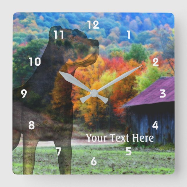 Relógio Quadrado Rottweiler Dog And Old Tobacco Barn (Frente)