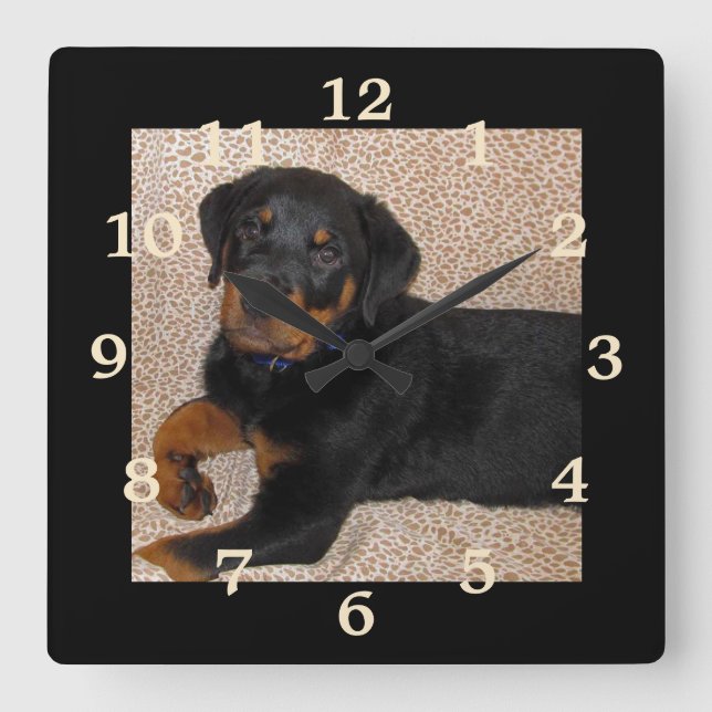 Relógio Quadrado Rottweiler Irresistível Puppy Clock Numerado (Frente)