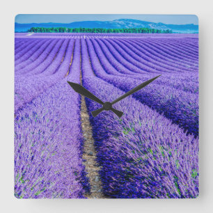 Relógio Quadrado Rows of Lavender, Provence