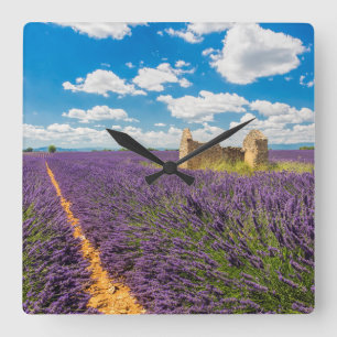 Relógio Quadrado Ruína em Campo de Lavanda, França