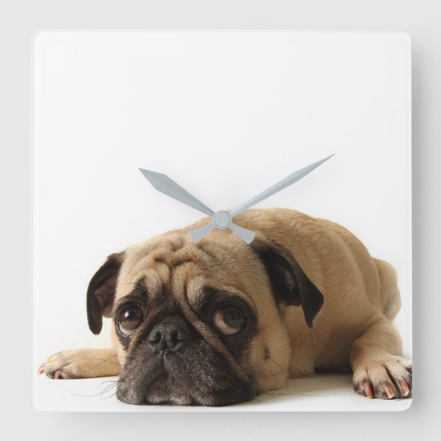 Relógio Quadrado Sad Pug (Frente)