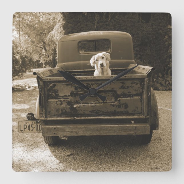 Relógio Quadrado Saia de Dodge - Fotografia de Cães (Frente)