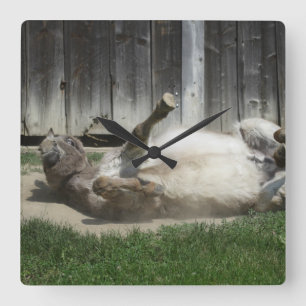 Relógio Quadrado Sand Bathing Donkey