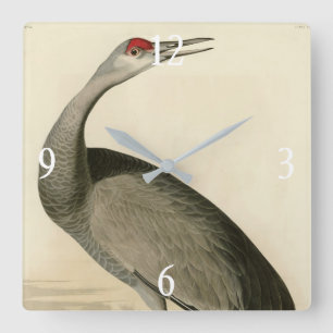 Relógio Quadrado Sandhill Crane das Aves da América de Audubon