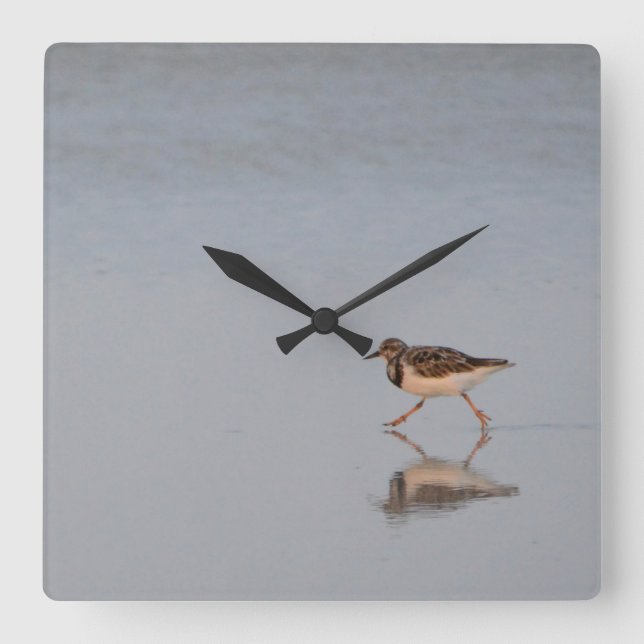 Relógio Quadrado Sandpiper Correndo Ao Longo Da Praia (Frente)