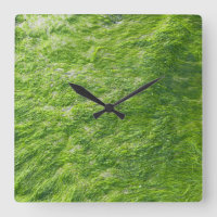 Sea Moss Green Nature Grass Beach NIMO