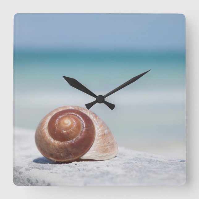 Relógio Quadrado Seashell | St Petersburg, Florida (Frente)