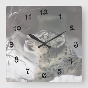 Relógio Quadrado Serene Snow Leopardo